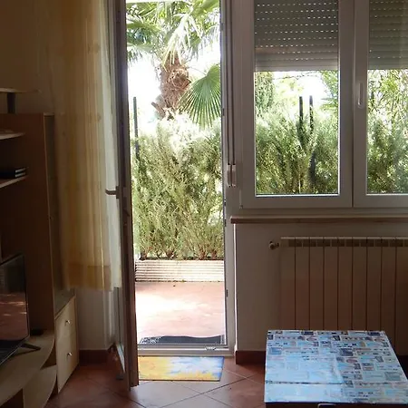 Yellow Submarine Lucija