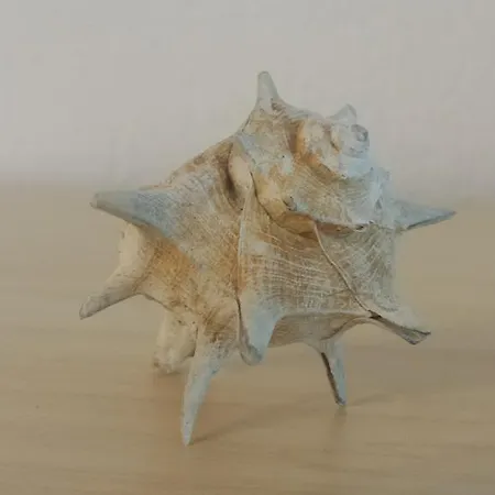 Apartamento Yellow Submarine