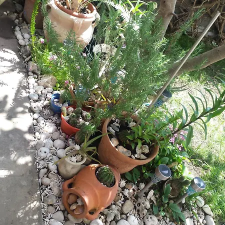 Apartman Yellow Submarine