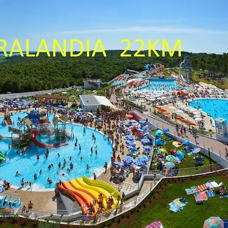 Yellow Submarine * Lucija