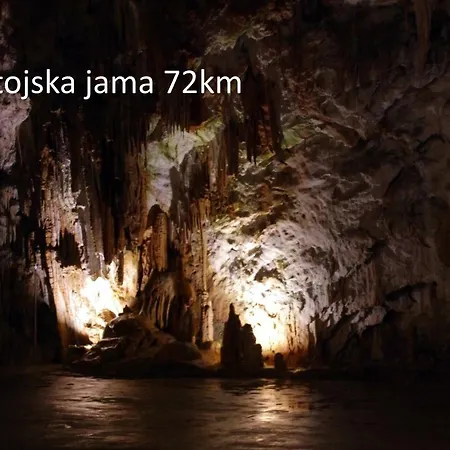 Yellow Submarine * Lucija