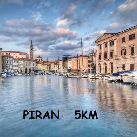 Yellow Submarine Lucija