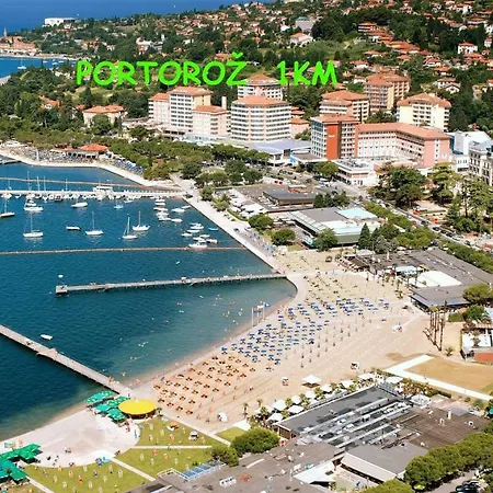 شقة Yellow Submarine لوسيا