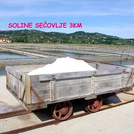 Apartment Yellow Submarine