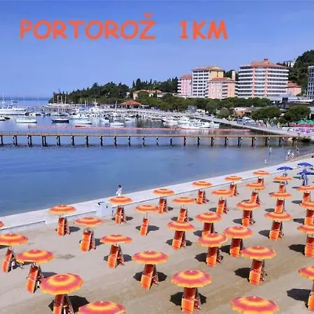 Yellow Submarine Lucija