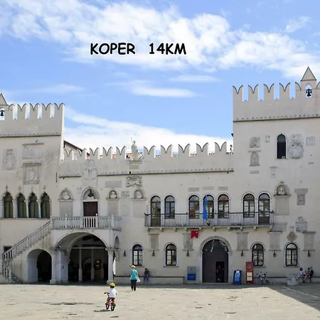 Yellow Submarine Apartment Lucija