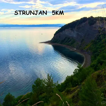 Apartment Yellow Submarine Lucija