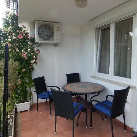 Yellow Submarine * Lucija