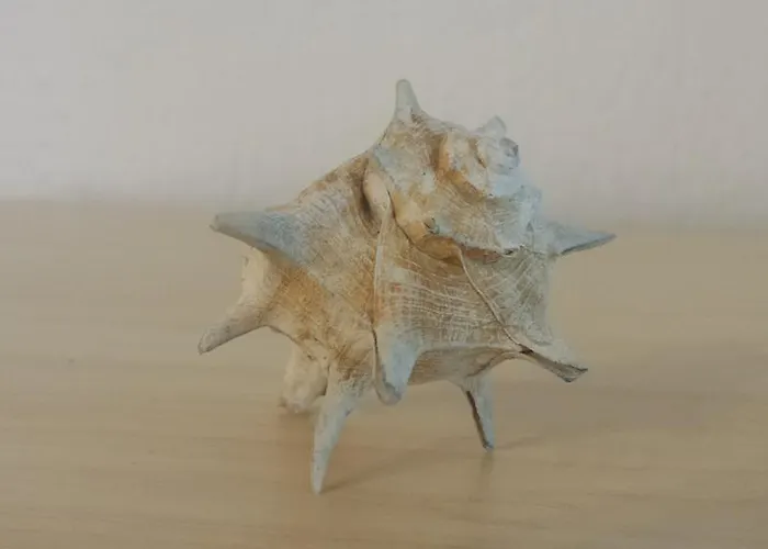 アパート Yellow Submarine