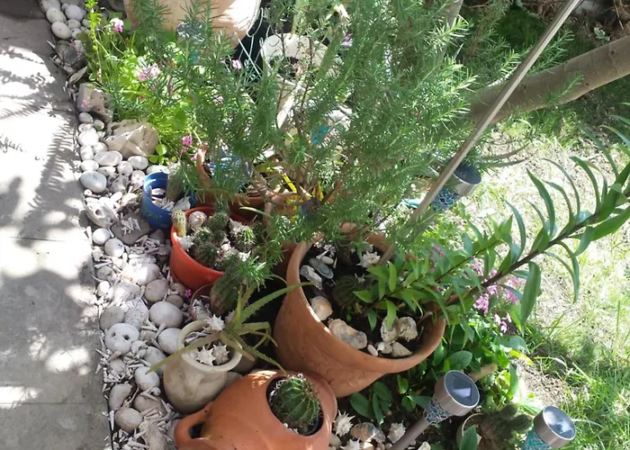 アパート Yellow Submarine