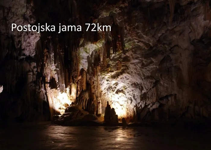 Yellow Submarine * ルツィヤ