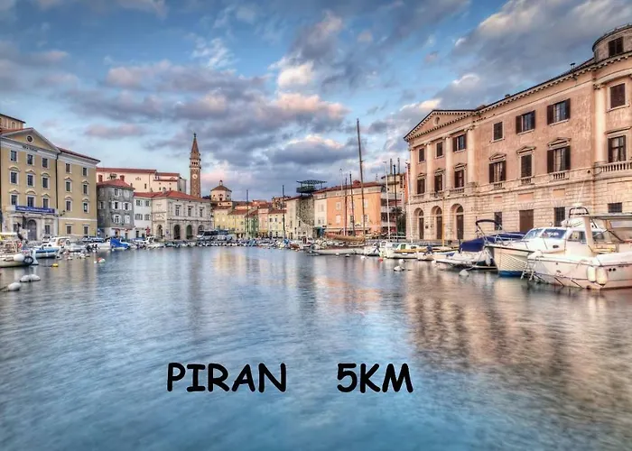 Yellow Submarine لوسيا