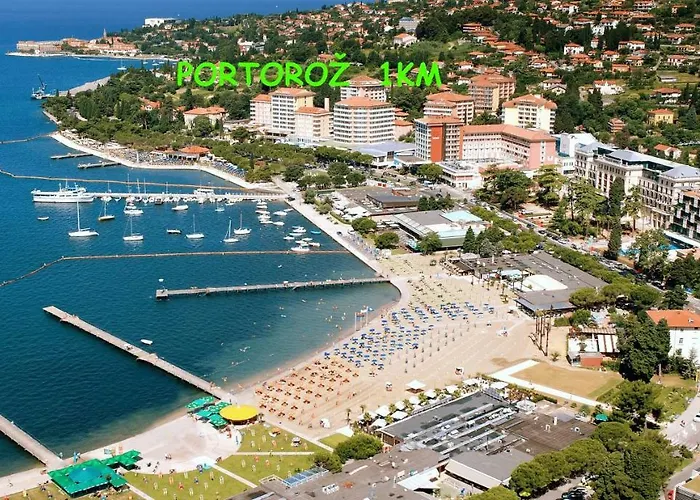 アパート Yellow Submarine ルツィヤ