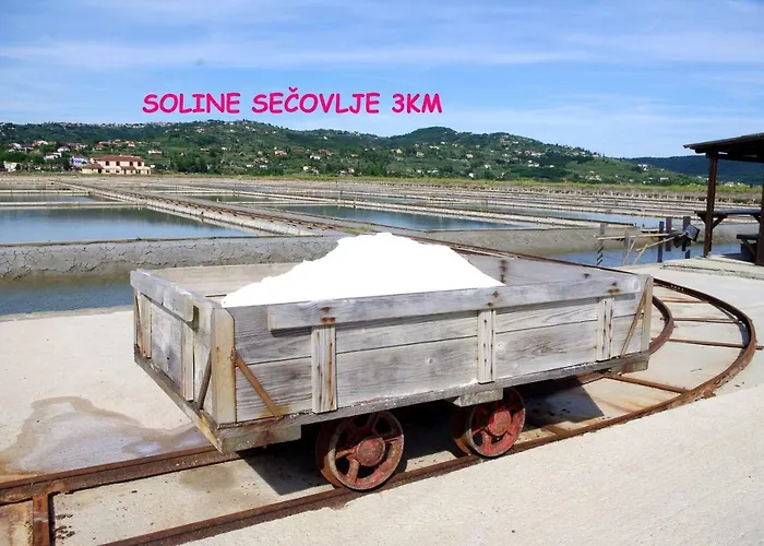 شقة Yellow Submarine