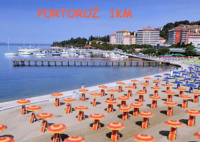 Yellow Submarine لوسيا