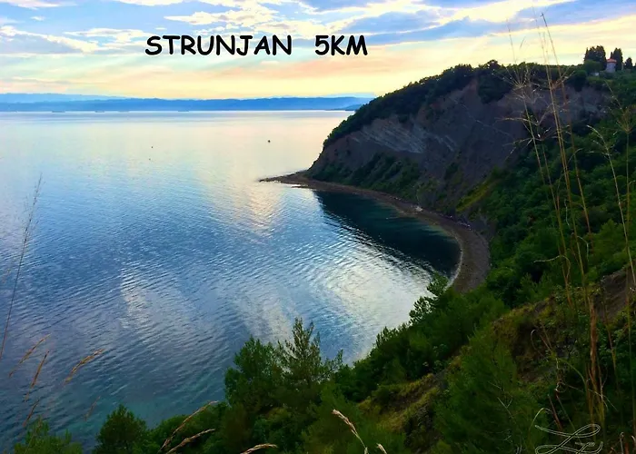 アパート Yellow Submarine ルツィヤ